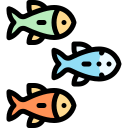 freshwater fishes icon