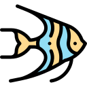 salwater fish icon