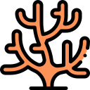 coral icon